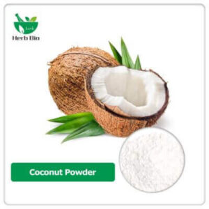 coconut milk powder bulk