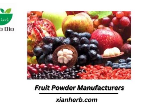 Turn to Fruit Powder Manufacturers to Promote Naturality in Products