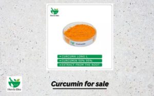 Curcumin for sale