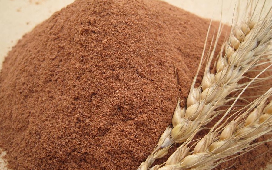 malt extract powder blog