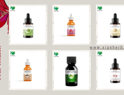 Welcome to the world of natural extracts – essential oils.