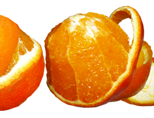 Fructus Aurantii (FA)-Medical applications of oranges you don’t know.