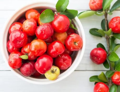 Explore nature’s treasures: Acerola cherry – a natural treasure house of vitamin C