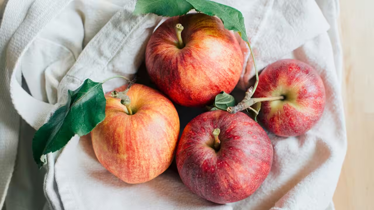 Apple Polyphenols benefits