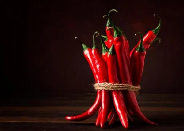 capsaicin supplier