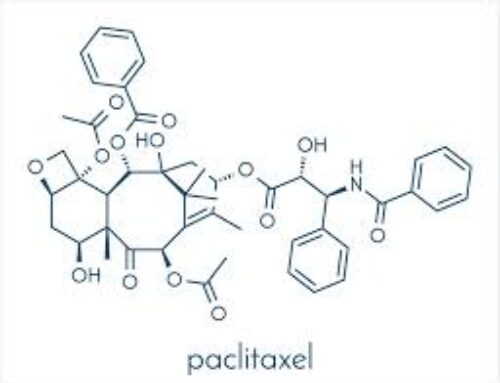 Paclitaxel: The Powerful Chemotherapy Drug for Cancer Treatment