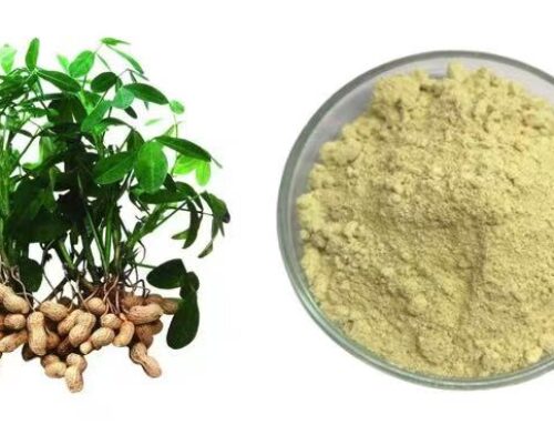 10x Stronger Than Vitamin C! How This Natural Compound Saves Businesses 40% in Costs