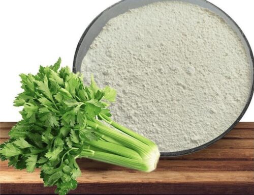 “Tiny Apigenin, a Billion-Dollar Opportunity in Disguise?”