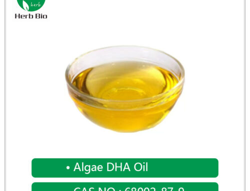 Algae DHA Oil