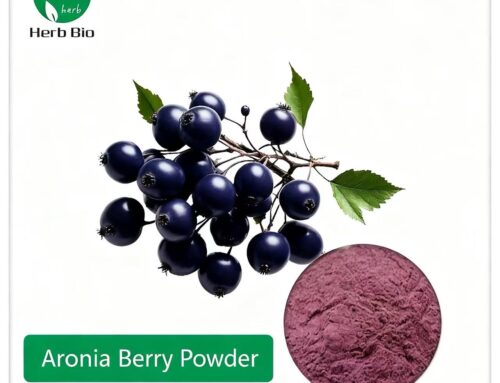 Aronia Berry Powder 