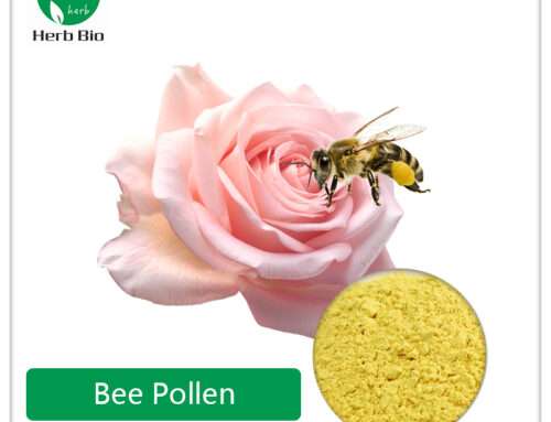 Bee Pollen