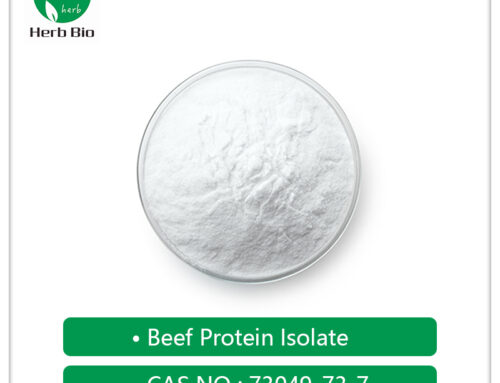 Beef Protein Isolate