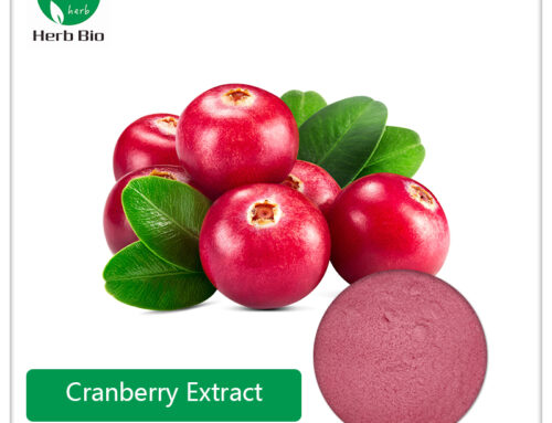 Cranberry Extract