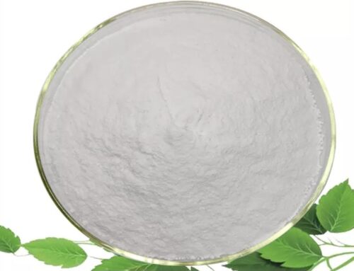Nicotinamide: The Super Ingredient Global Giants Are Betting On