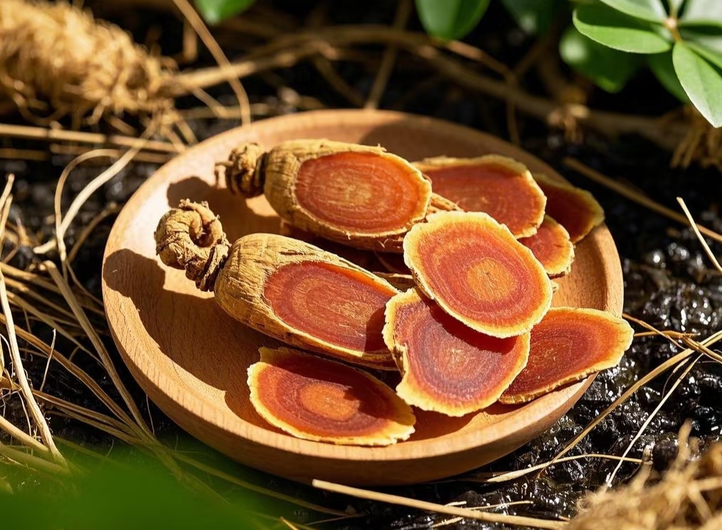 Red Ginseng