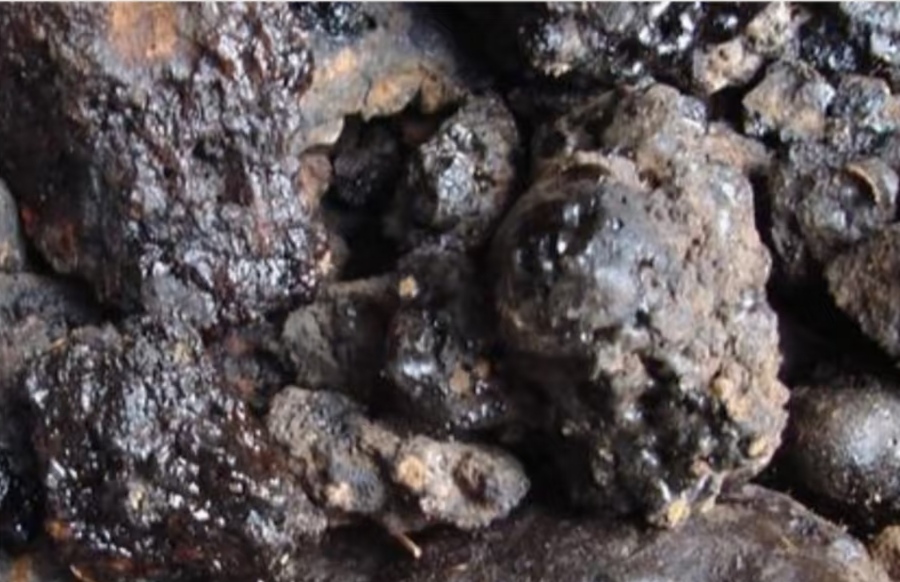 Shilajit