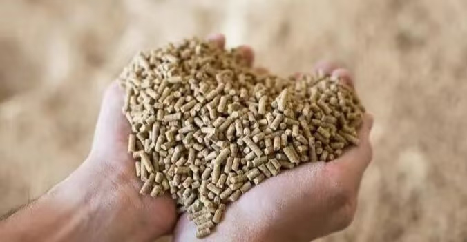 animal feed