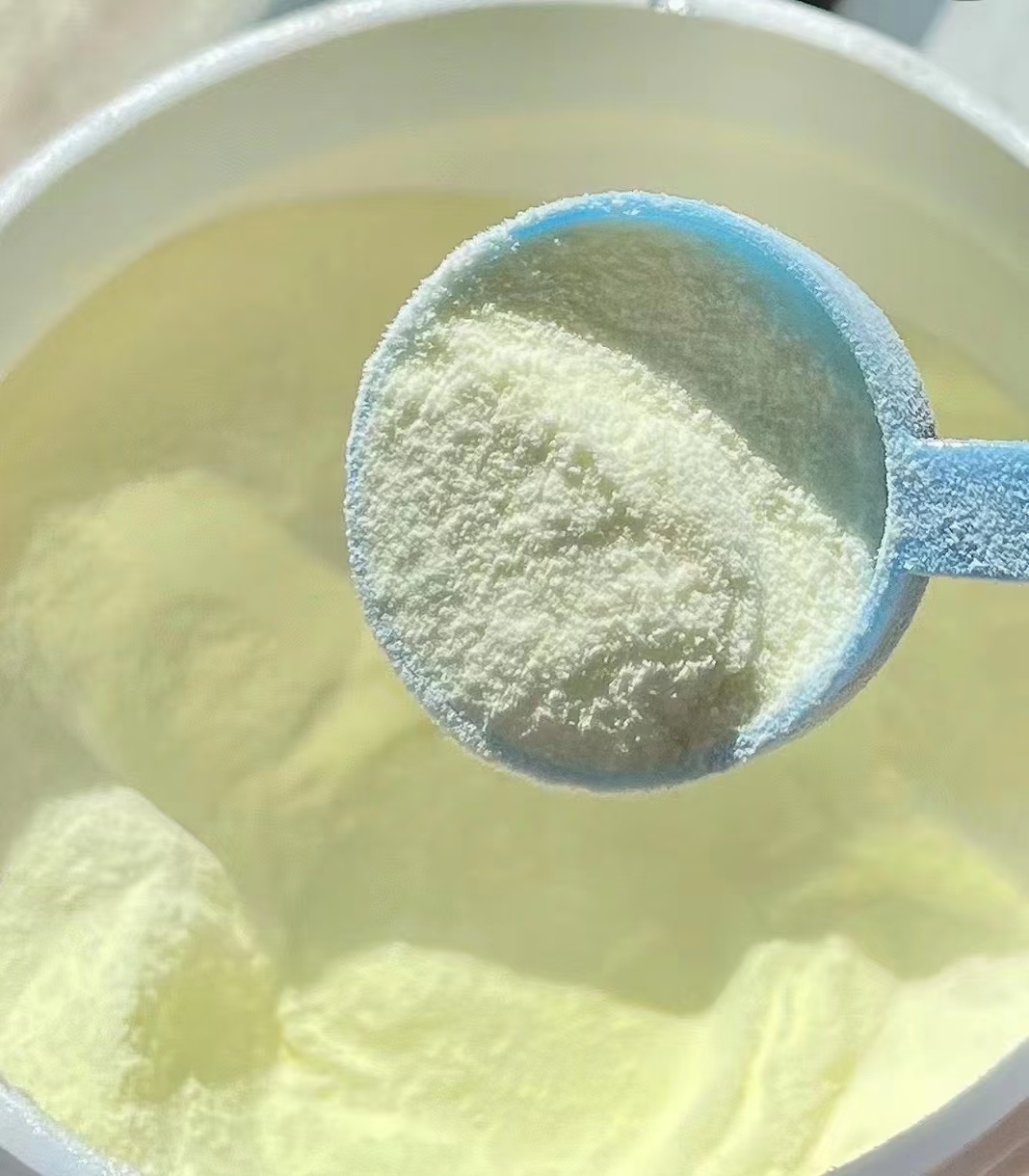 nutrition powder