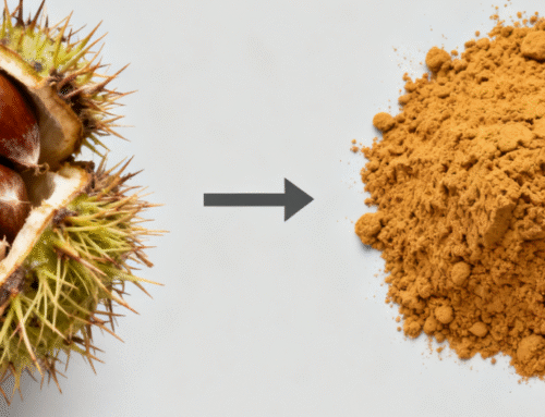 Horse Chestnut Extract: A Comprehensive Guide to Its Health Benefits and Uses