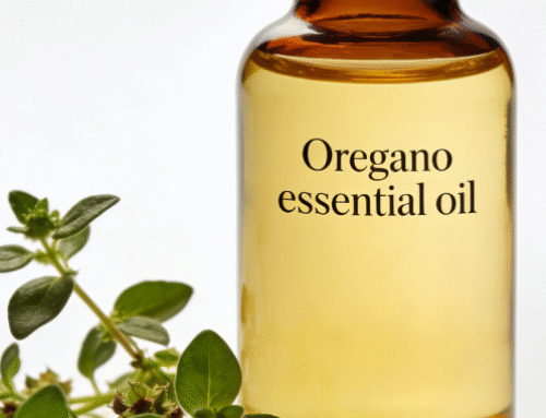 Oregano Essential Oil: The Potent Natural Guardian from the Mediterranean