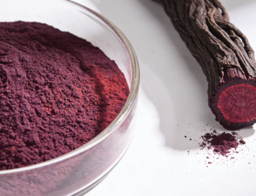 Shikonin: The Ancient Purple Healer from the Roots of Lithospermum