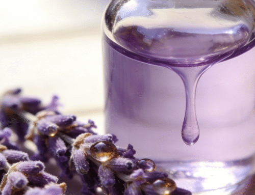 Lavender Essential Oil: Nature’s Ambassador of Calm and Versatile Healing