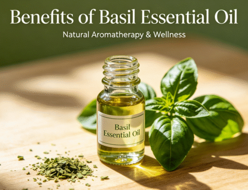 Basil Essential Oil: Benefits, Uses and Wholesale Bulk Guide