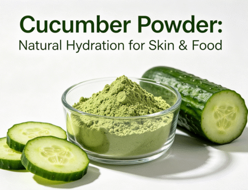 What Is Cucumber Powder? Complete Guide for Cosmetic & Food Manufacturers