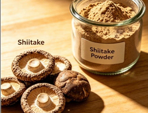 Wholesale Shiitake Mushroom Extract: Benefits, Uses & Buying Guide 2026