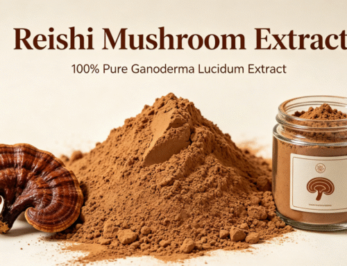Reishi Mushroom Extract: Benefits, Side Effects and Wholesale Sourcing Guide for Business