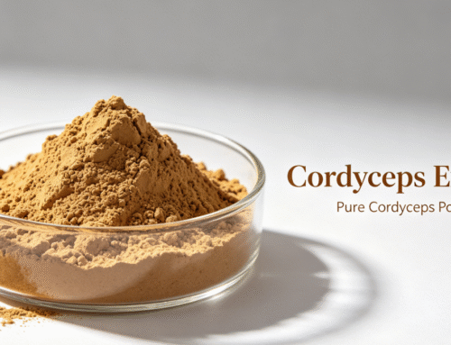 The Ultimate Guide to Cordyceps Extract: Benefits, Uses & Wholesale Specification