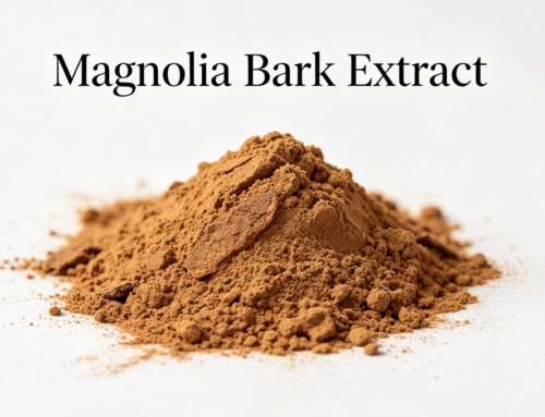 Complete Guide to Magnolia Bark Extract for Business Buyers