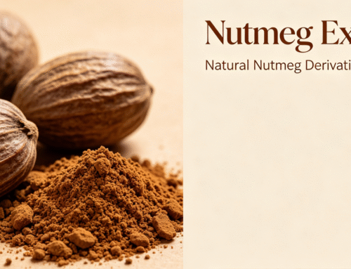 How to Choose a Reliable Nutmeg Extract Supplier: Quality & Safety Standard